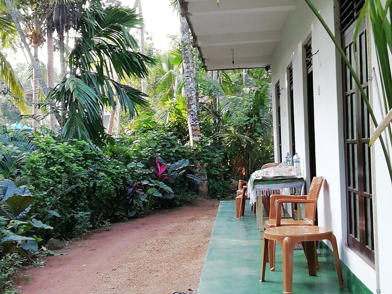 Jungle Guest ,Mirissa Hotel Ngoại thất bức ảnh