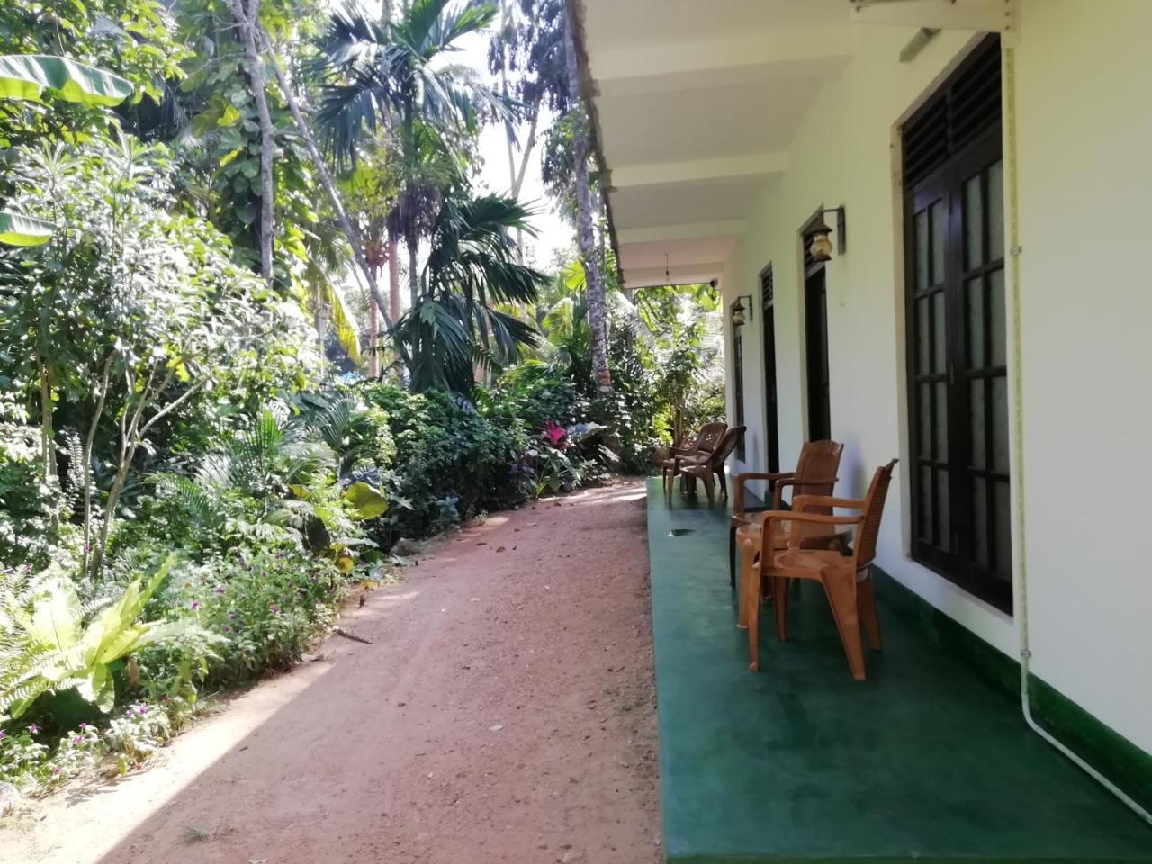 Jungle Guest ,Mirissa Hotel Ngoại thất bức ảnh