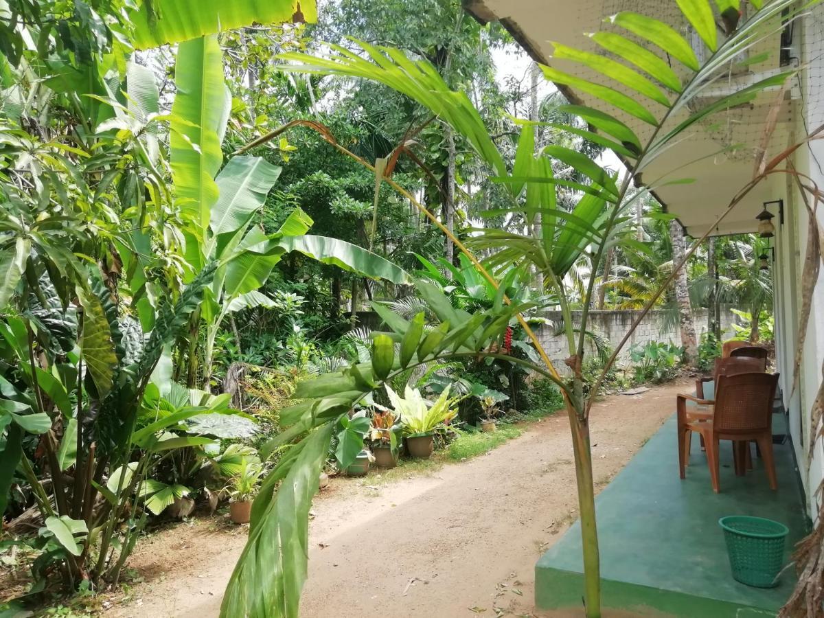 Jungle Guest ,Mirissa Hotel Ngoại thất bức ảnh